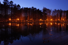 2014/12/14_夕暮れの別所沼公園