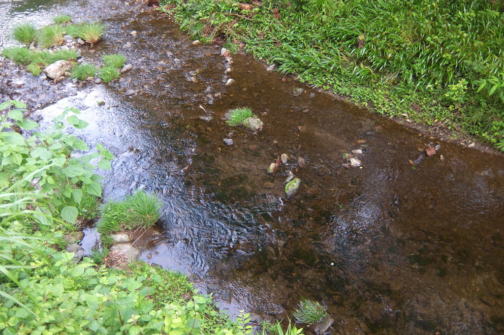 2014/07/12_せせらぎ