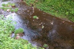 2014/07/12_せせらぎ