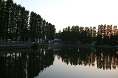 2014/05/31_夕暮れの別所沼公園