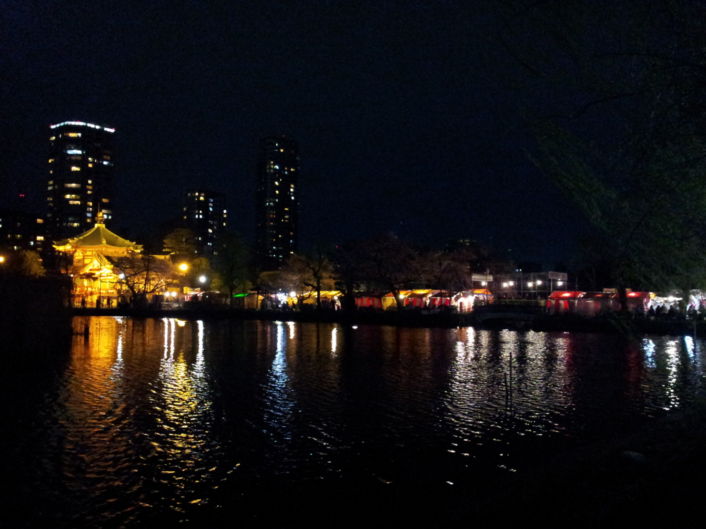 2015/04/03_夜の不忍池