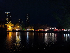 2015/04/03_夜の不忍池