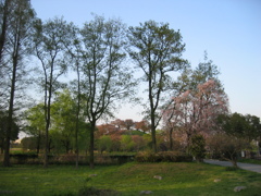 2017/04/16_さきたま古墳公園
