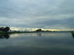 2017/08/12_溜め池の曇天