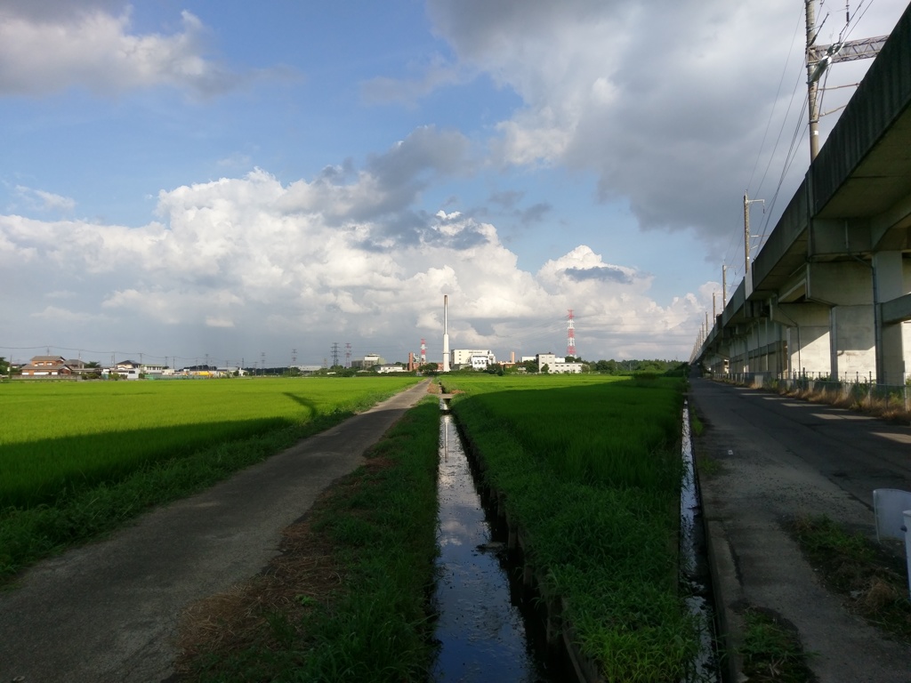 2018/07/29_用水路に雲と桶川市環境センターの煙突
