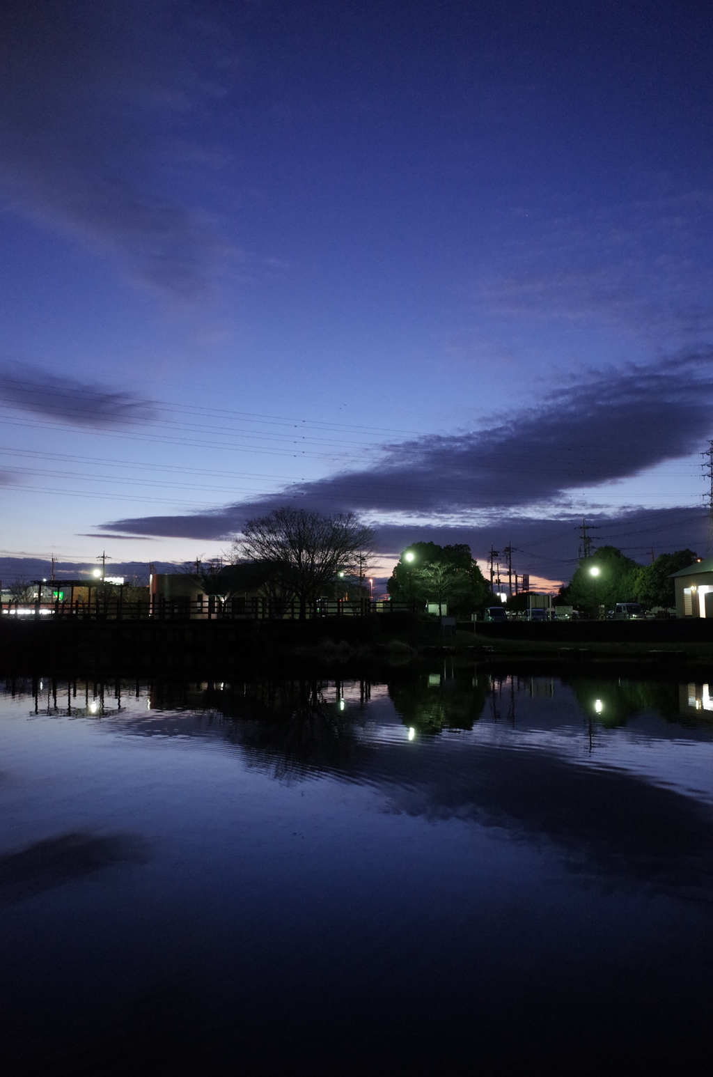 2015/12/30_西城沼公園の夕暮れ