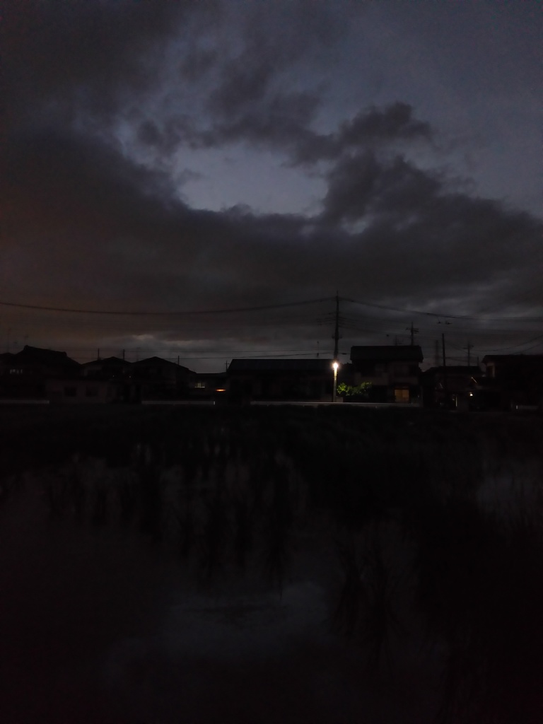 2017/08/13_水田の夕暮れ
