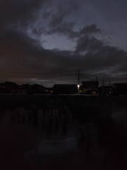 2017/08/13_水田の夕暮れ