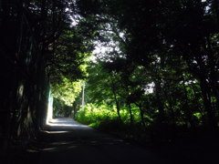 2016/07/10_木陰の道
