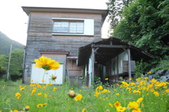 2014/06/01_廃校（旧南川小学校）