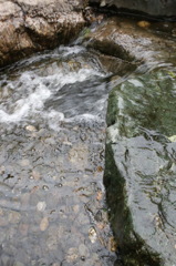 2014/07/06_平成の森公園のせせらぎ