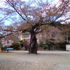 2018/04/08_旧南川小学校