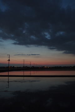 2016/06/05_水田の夕暮れ