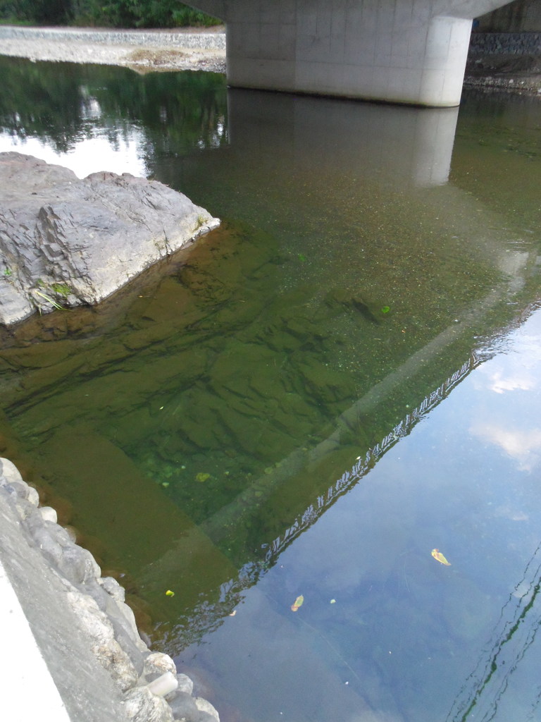 2016/09/10_高麗川