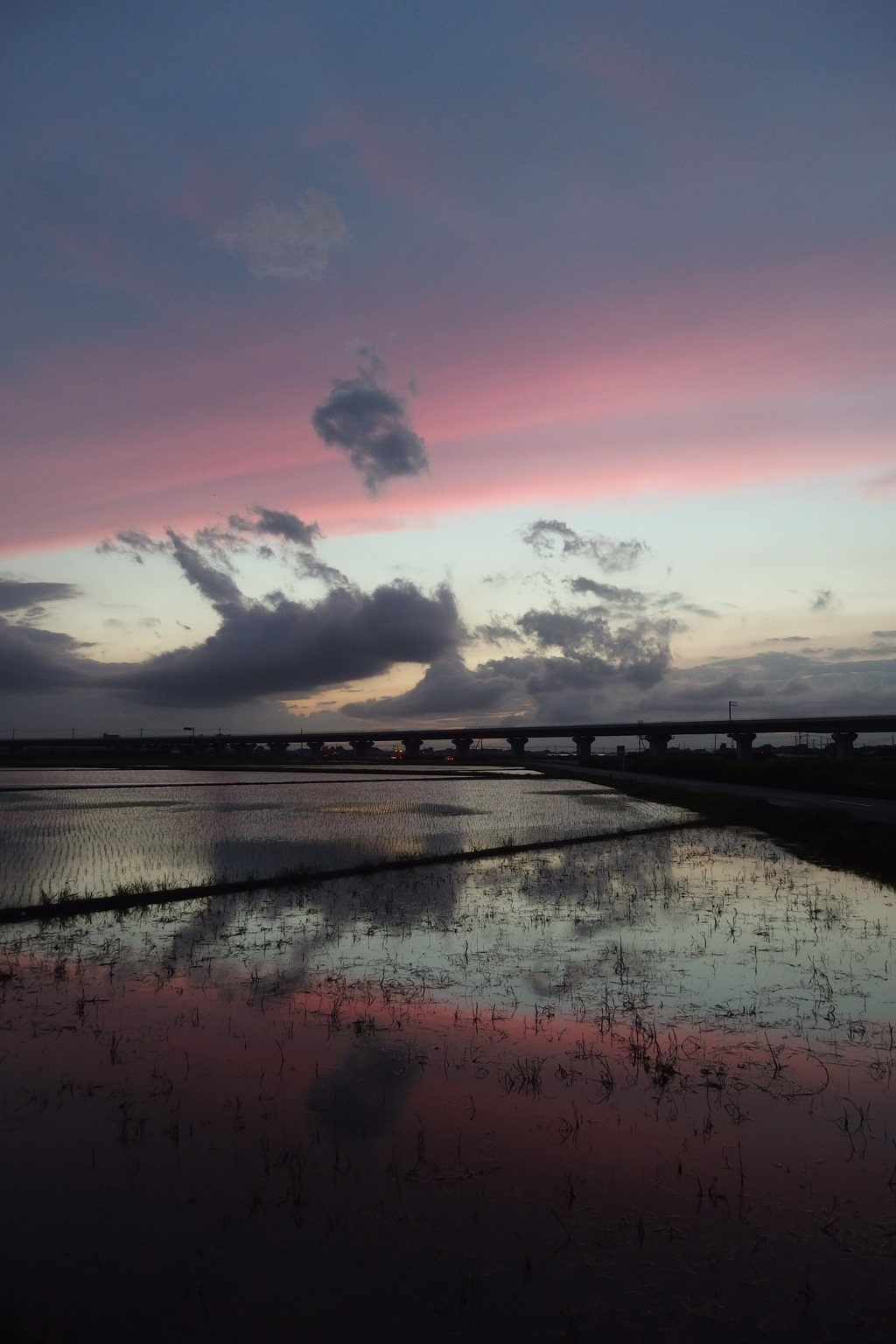 2015/06/28_水田の夕暮れ