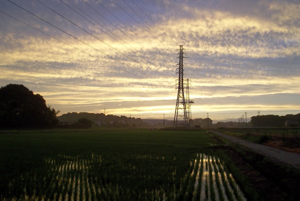 2015/06/27_水田の夕暮れ