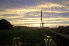 2015/06/27_水田の夕暮れ