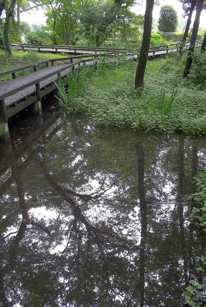 2015/07/05_伊奈町制施行記念公園