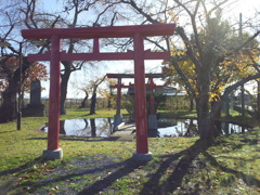 2016/11/14_十和田神社