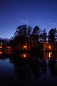 2014/12/14_夕暮れの別所沼公園