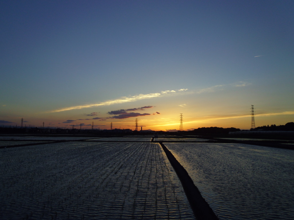 2017/06/03_水田の夕暮れ