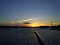 2017/06/03_水田の夕暮れ