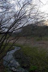 2016/03/26_北本自然観察公園