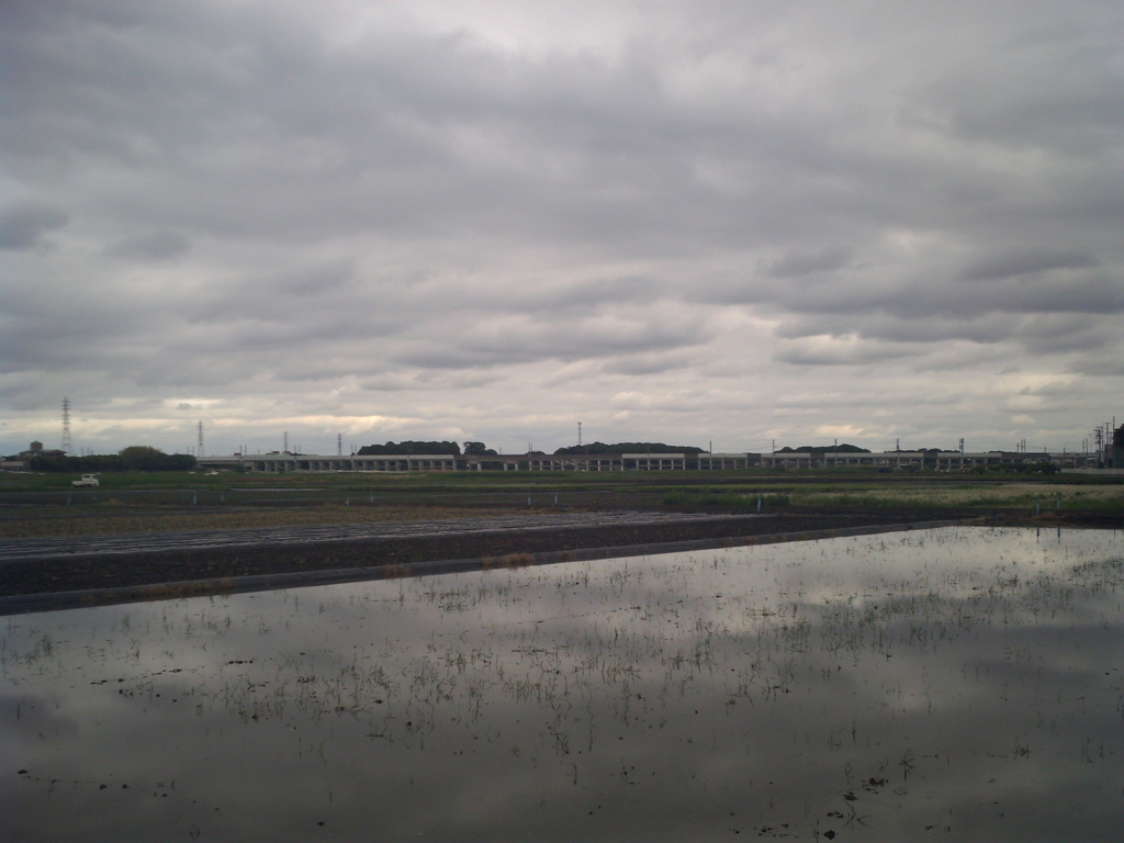 2017/05/14_水田の曇天