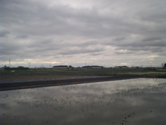 2017/05/14_水田の曇天