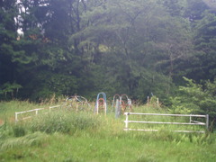 2016/07/17_小鹿公園の廃遊具（没カット）