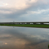2016/06/26_水田の夕暮れ