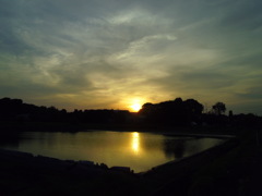 2017/05/21_水田の夕暮れ