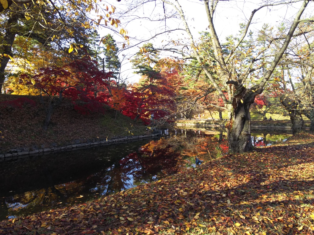 2016/11/14_弘前公園 内濠