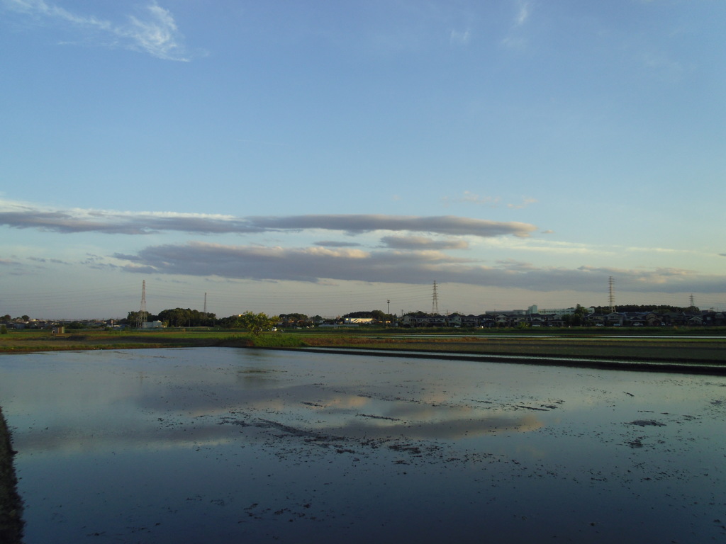 2017/06/03_水田に雲