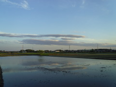 2017/06/03_水田に雲