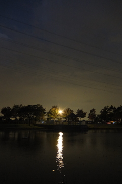 2015/10/04_夕暮れの平成の森公園