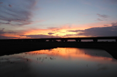 2015/07/19_水田の夕暮れ