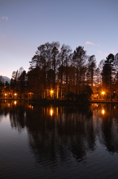 2014/12/14_夕暮れの別所沼公園