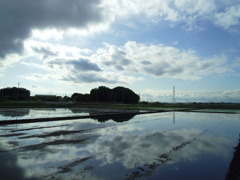2017/05/14_水田に雲