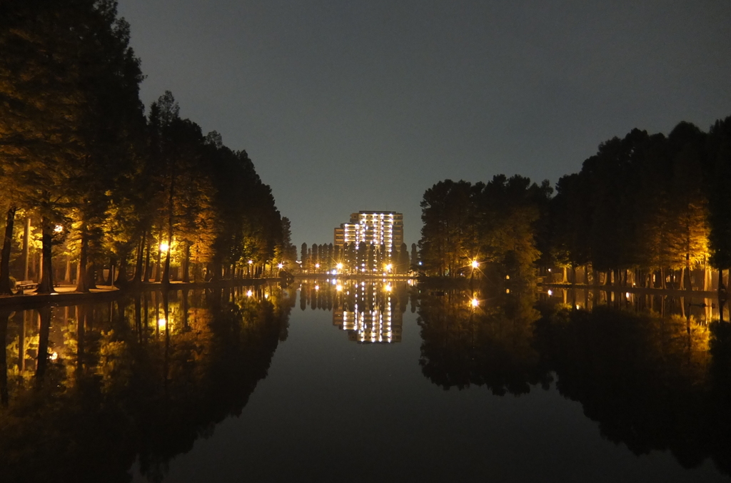 2014/11/02_夜の別所沼公園