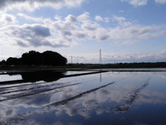 2017/05/14_水田に雲