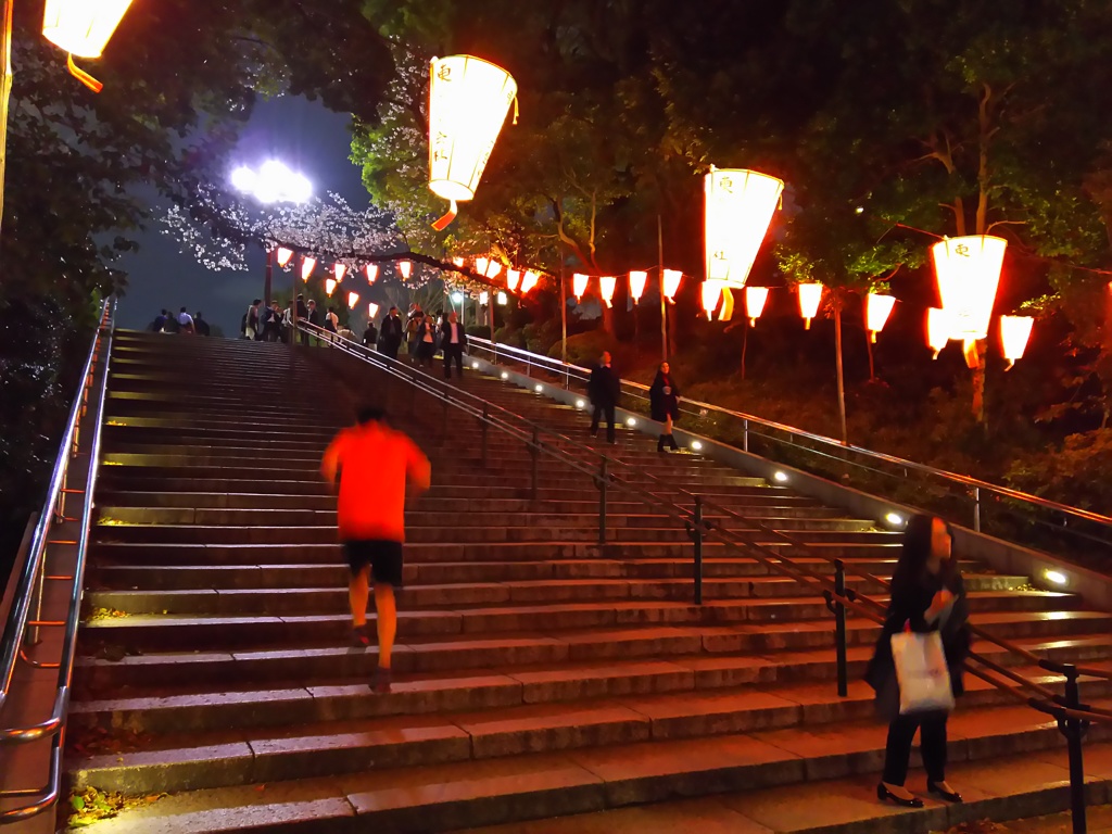 2017/04/06_夜の上野公園