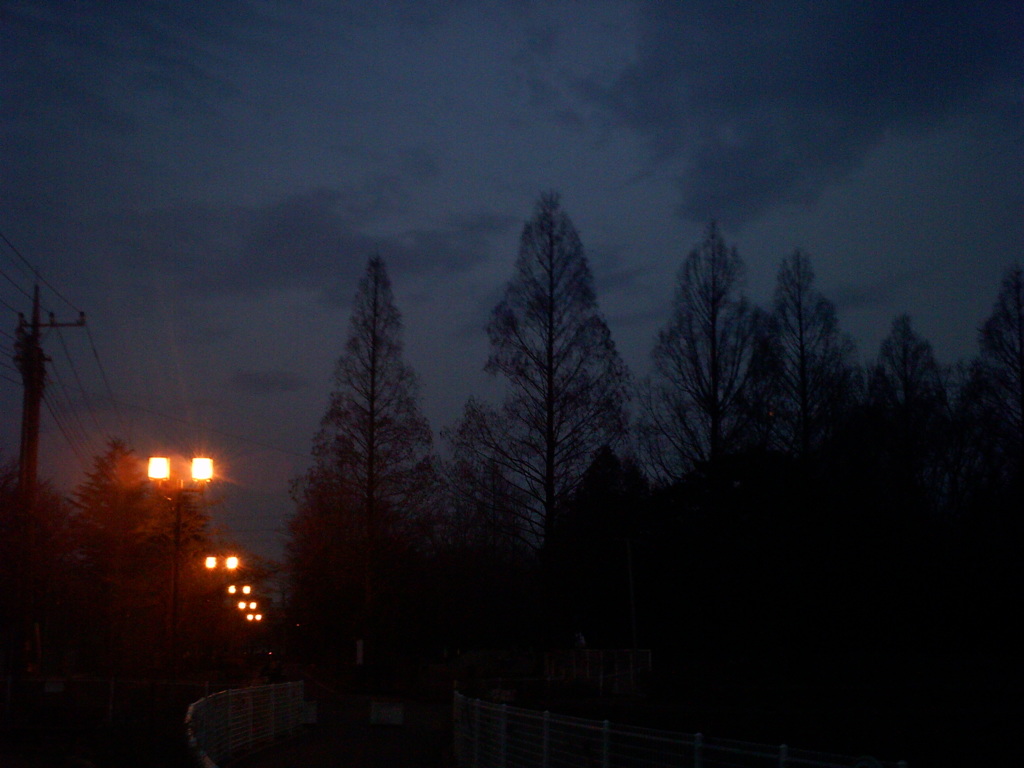 2016/02/13_夕暮れの伊奈町制施行記念公園