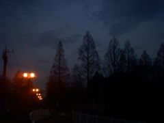 2016/02/13_夕暮れの伊奈町制施行記念公園