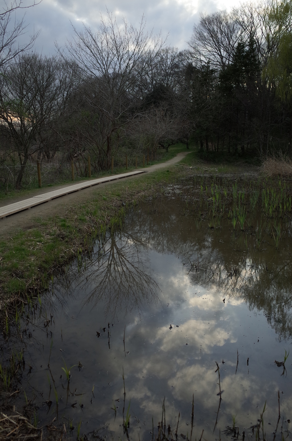 2016/03/26_北本自然観察公園