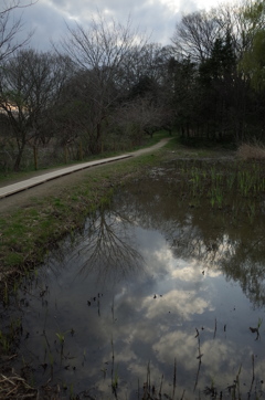 2016/03/26_北本自然観察公園