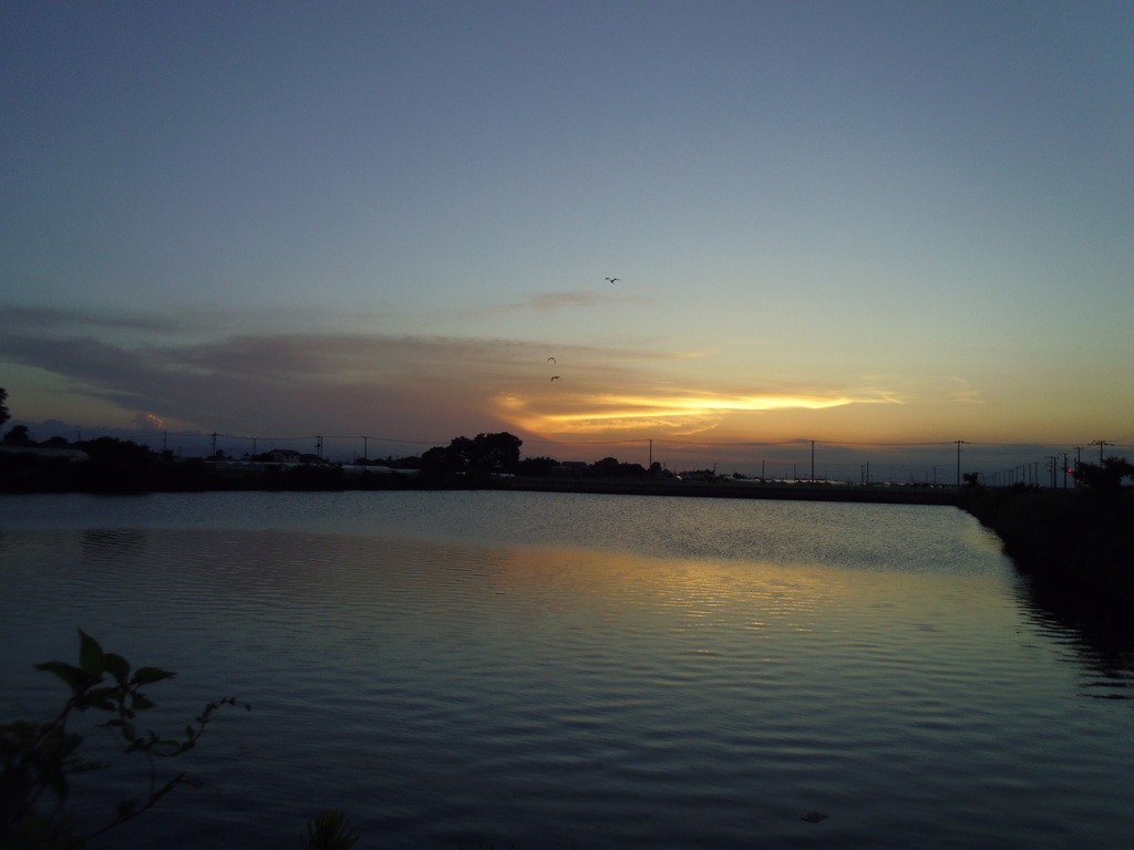 2016/08/07_溜め池の夕暮れ