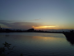 2016/08/07_溜め池の夕暮れ