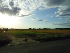 2017/06/04_田んぼの中のスペース