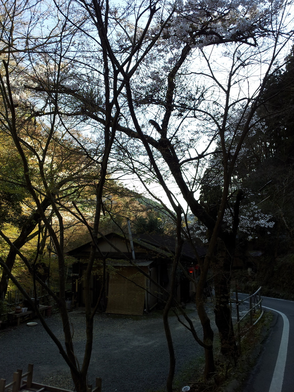 2019/04/13_貴船の店と桜